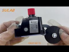 Sakelar Batas Tugas Berat CR137-BZ-T2 dengan Peringkat IP67, Kontak Snap-Action 2×SPDT, dan Rol Baja L